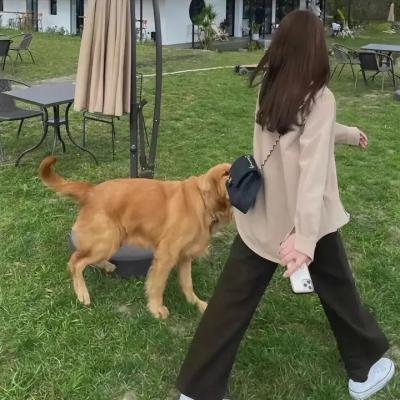 大话之少年游